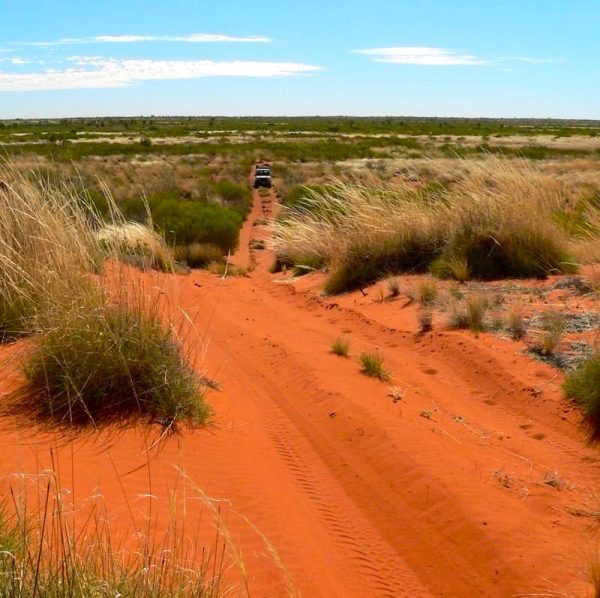 The red, iron-rich soil of the Kimberleys is a dramatic contrast to the vast blue sky.