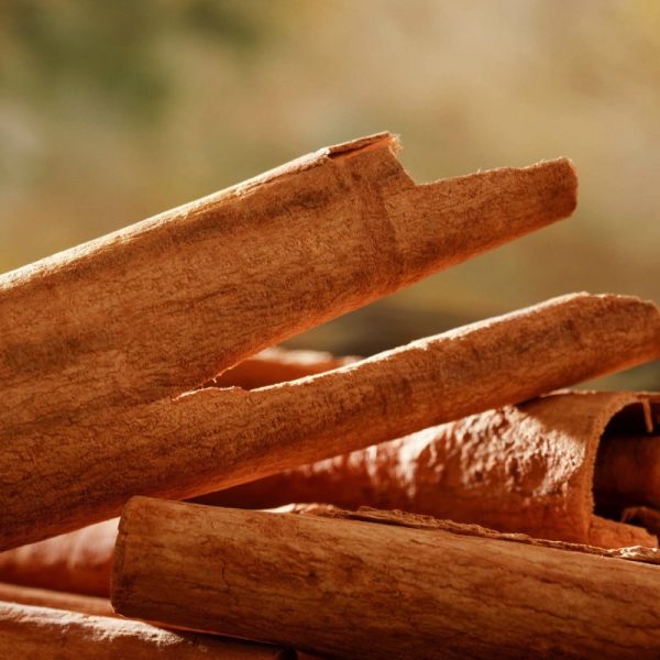 Cinnamon essential oil - a fitting gift for kings and gods - burns with a warm, sweet and spicy aroma. Cinnamomum verum: Obtained from the inner bark of several species, the essential oil can be prepared by roughly pounding the bark, macerating it in sea water, then distilling.