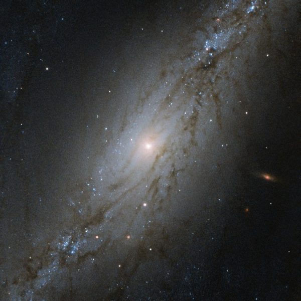Deep Space. Image credit: ESA/Hubble & NASA, M. Stiavelli