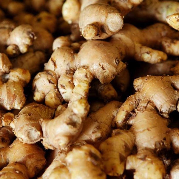 Ginger essential oil burns with a warm and spicy aroma. The highly celebrated ginger rhizome is prized for its culinary value, and is acclaimed for healing qualities, including reducing muscular pain and soreness with anti-inflammatory and anti-nauseant properties.