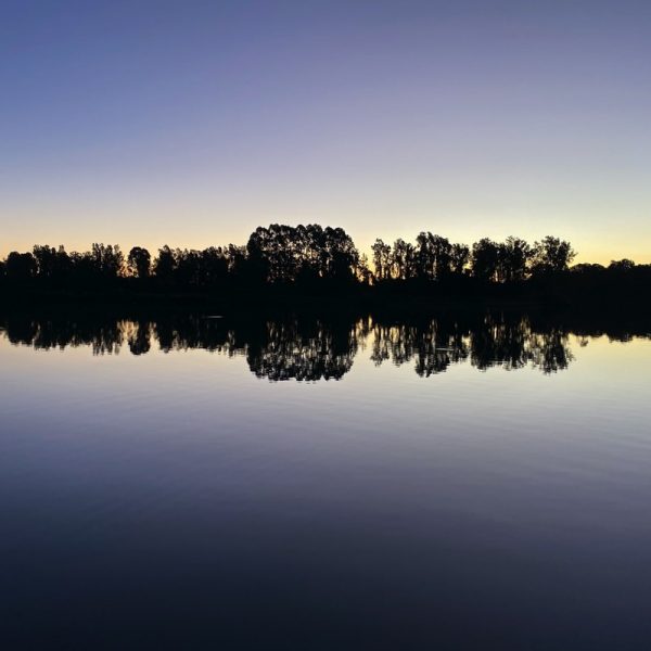 Morning calm on the Clarence River, NSW. Photo by Linda Saul