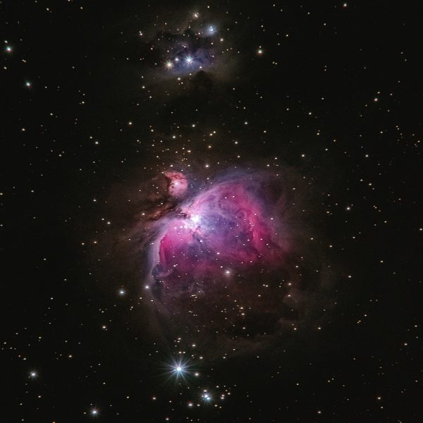 Cosmos. Photo by Alexander Andrews- Unsplash.