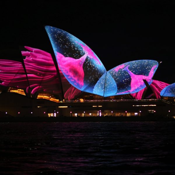 Pink and blue make a stunning display projected on to the Sydney Opera House. Photo by Mark Thompson - Unsplash.
